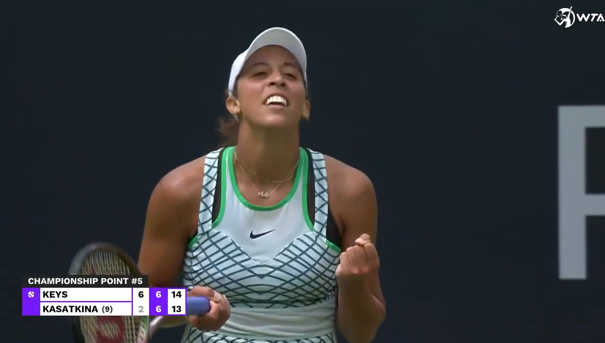 许多宠物主 许多宠物主